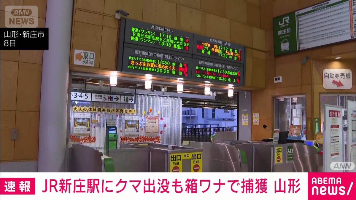 JR新庄駅にクマ出没も箱ワナで捕獲 山形