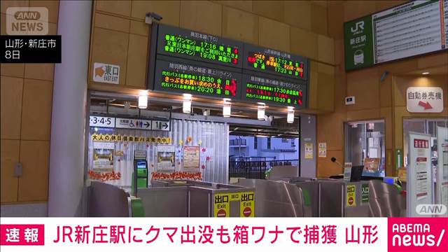 JR新庄駅にクマ出没も箱ワナで捕獲 山形