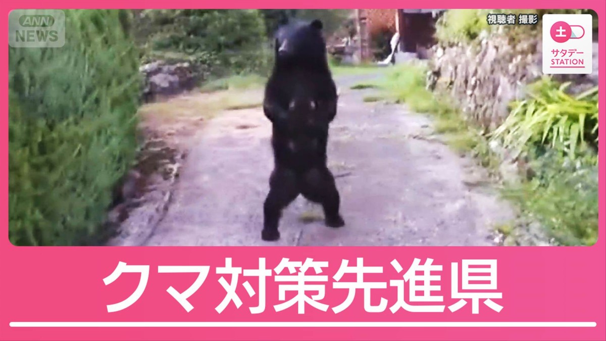 “全国で唯一”個体数管理のクマ対策先進県　被害最小限・兵庫県の「3つの対策」とは