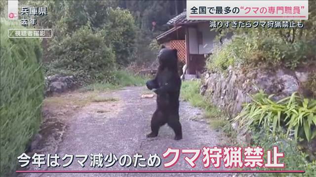 “全国で唯一”個体数管理のクマ対策先進県　被害を最小限に抑えた「3つの対策」とは