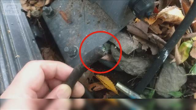 長野・上田城跡公園の照明ケーブルが切断される　紅葉の名所　ライトアップ縮小