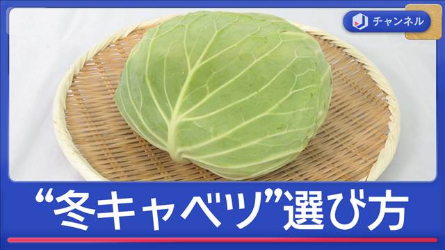 冬キャベツ“春とは違う”美味しい物は…ドコ見て選ぶ？