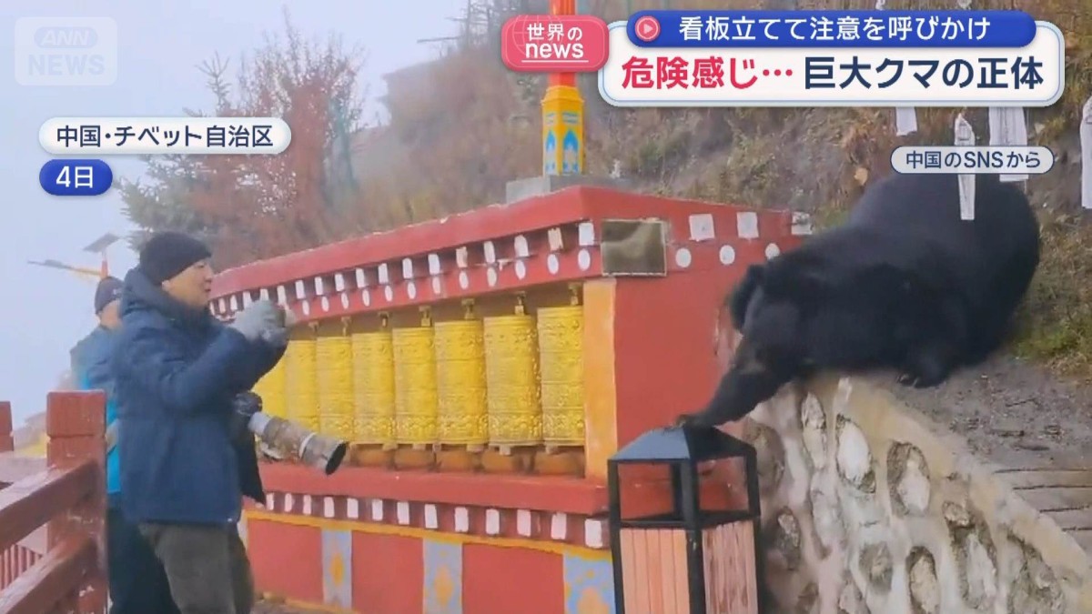 危険感じ…巨大クマの正体　看板立てて注意を呼びかけ　中国・チベット自治区