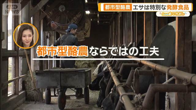 都市型酪農に注目　小規模の強みがニオイ対策「コーヒーの皮」に【グッド！いちおし】