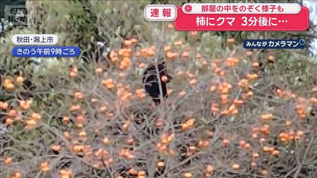 岩手の空港にクマ　滑走路“一時閉鎖”　捕獲の一部始終　宮城大学構内にも現れ休講に