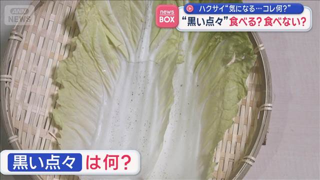 “黒い点々”食べない方がいい？　ハクサイ“気になる…コレ何？”
