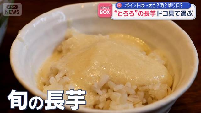 秋の味覚“とろろ”の長芋 ドコ見て選ぶ　ポイントは…太さ？毛？切り口？