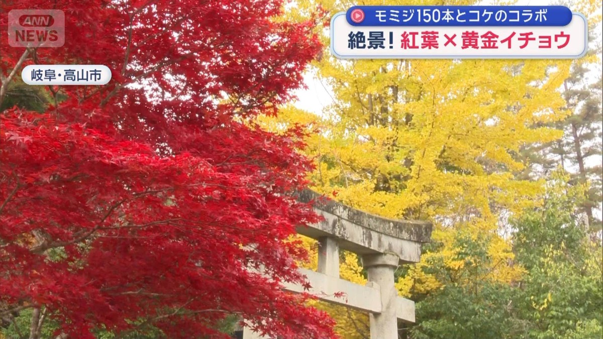 45.せとか12キロ 甲信越、関東料金 46.せとか12キロ 甲信越、関東料金 せとかみかんの値段・価格は？1