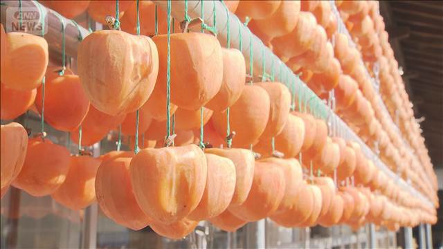 今年は甘い！枯露柿づくり最盛期　山梨・甲州市“晩秋の名物”