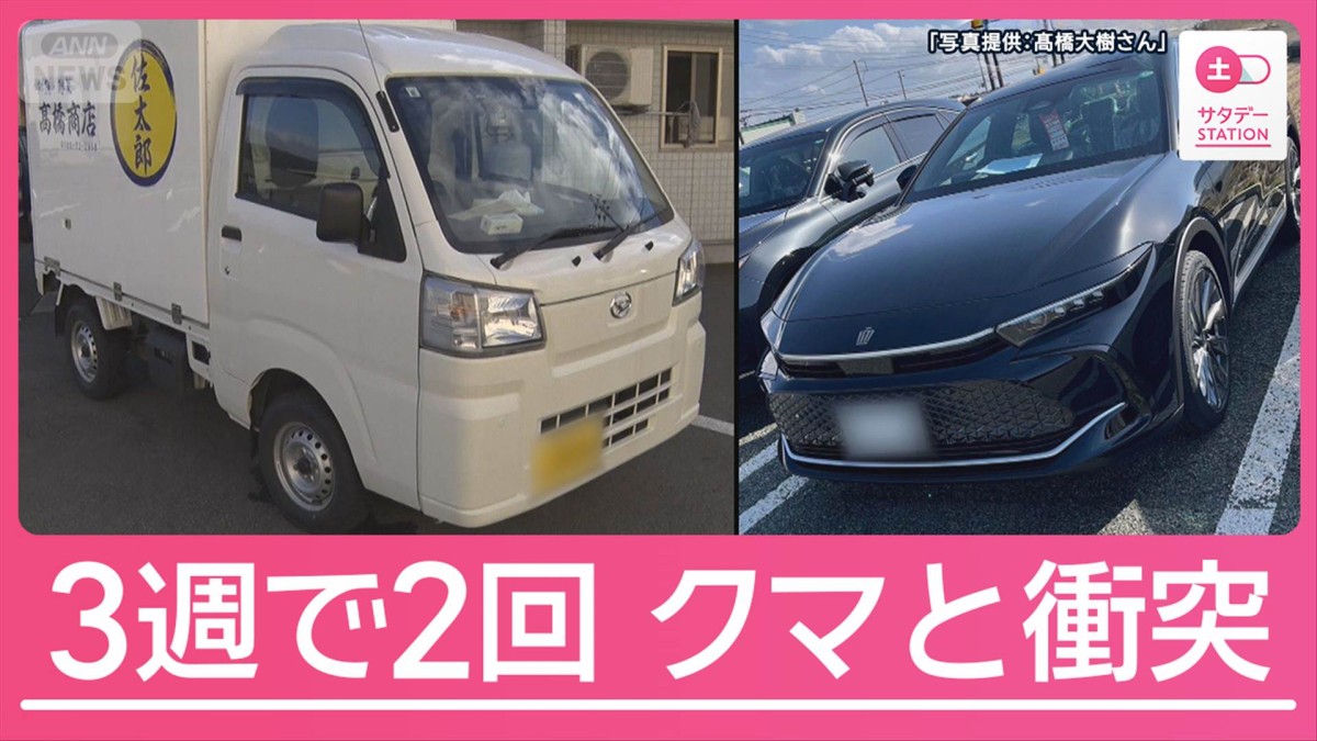 クマと車の衝突事故急増 “3週間に2回”被害に遭った男性も