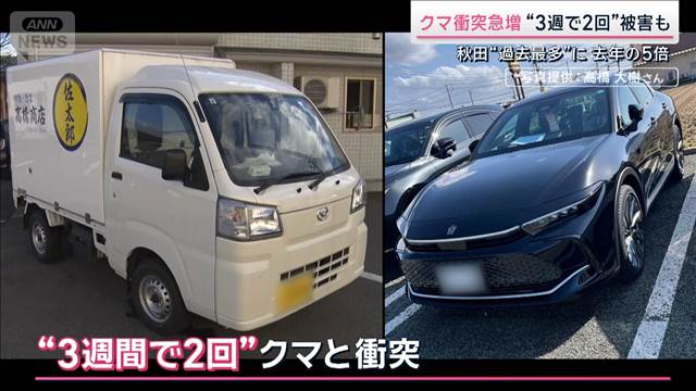 クマと車の衝突事故急増　“3週間に2回”被害に遭った男性も