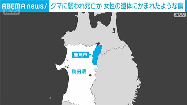 田んぼに女性の遺体 クマに襲われたような傷　秋田・鹿角市