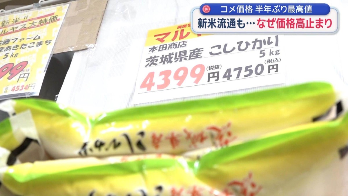 “半年ぶり最高値”新米いつ＆どれだけ安く？　プロが解説