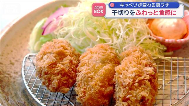 キャベツが変わる裏ワザ　千切りをふわっと食感に