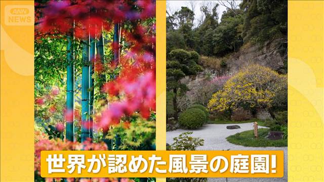 ミシュラン「三つ星」の絶景・報国寺　幻想的な竹の庭【グッド！いちおし】