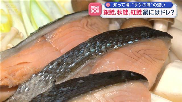 銀鮭、秋鮭、紅鮭　鍋にするならどのサケ？