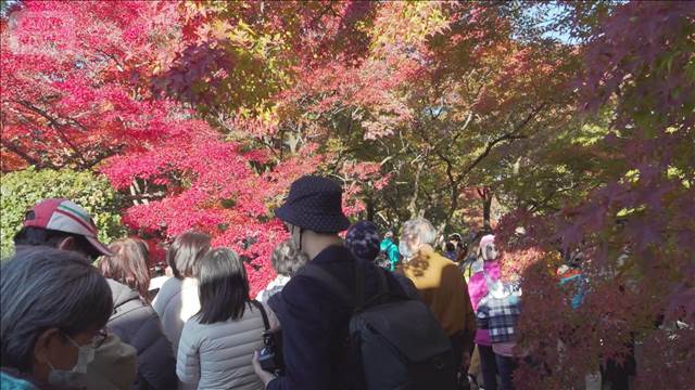 訪日観光客　10月として最多389万人超　1～10月の累計は3500万人突破、過去最速