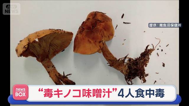 “毒キノコ味噌汁”4人食中毒　“間違えて”家族の食卓に