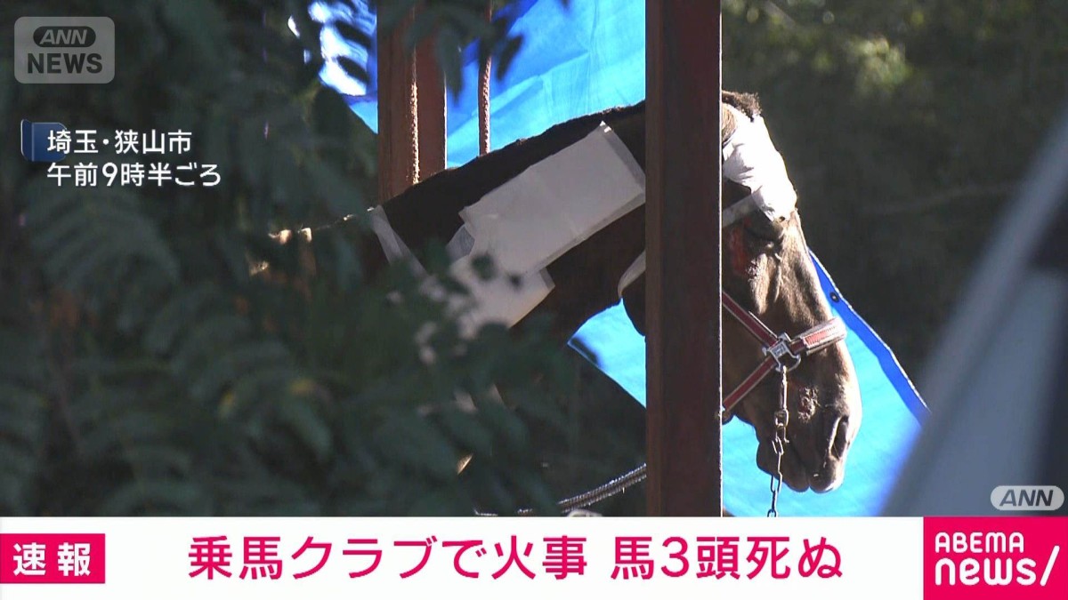 50頭飼育の乗馬クラブで馬小屋3棟燃える　3頭死に4頭やけど　埼玉・狭山市