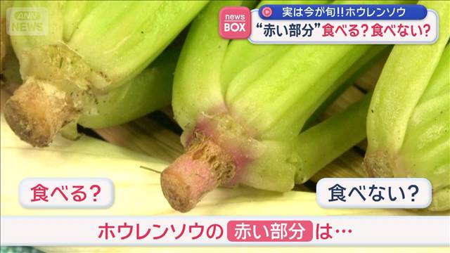 ホウレンソウ…実は今が旬！　“赤い部分”食べる？食べない？