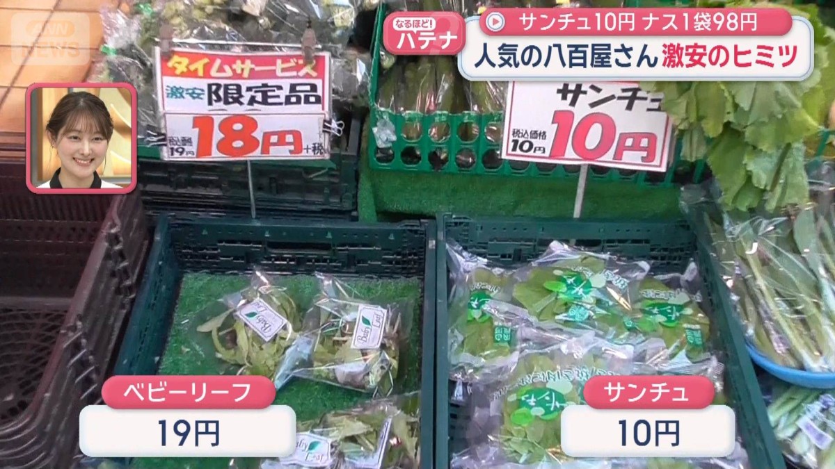 人気の八百屋さん　激安のヒミツ　サンチュ10円　ナス1袋98円