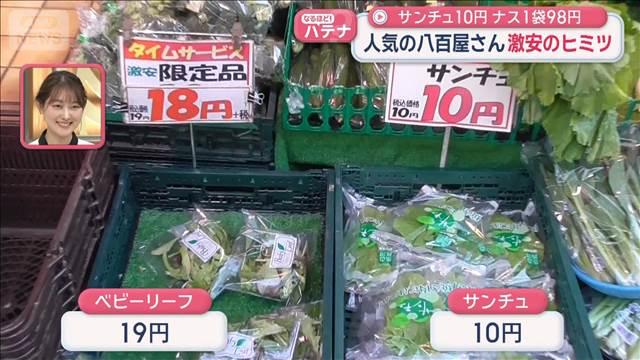 人気の八百屋さん　激安のヒミツ　サンチュ10円　ナス1袋98円