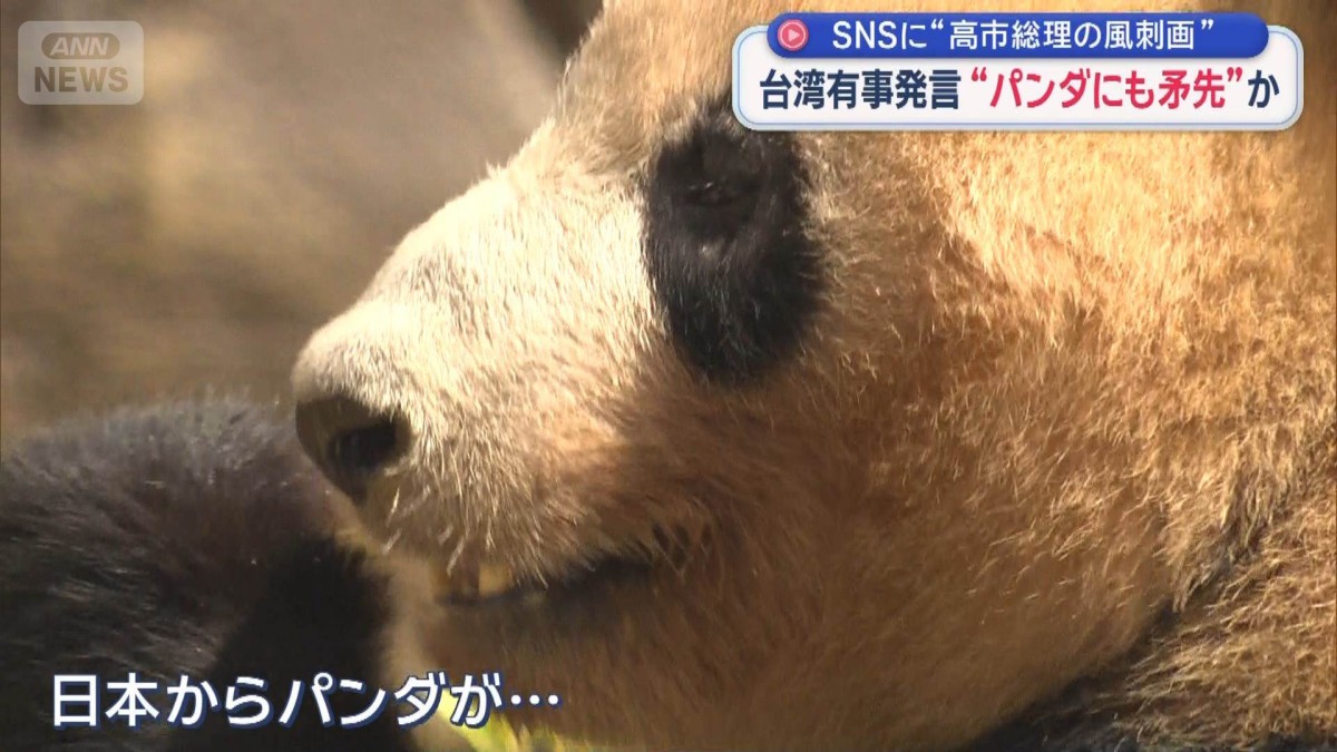 台湾有事発言“パンダにも矛先”か　SNSに“高市総理の風刺画”