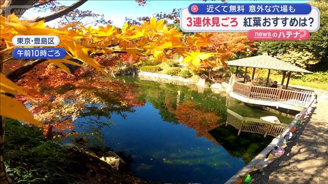 3連休見ごろ　紅葉おすすめは？　近くて無料　意外な穴場も