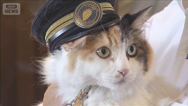 和歌山電鉄「ネコ駅長」ニタマ永眠　最後は「ニャー！」と一言　2015年に2代目就任