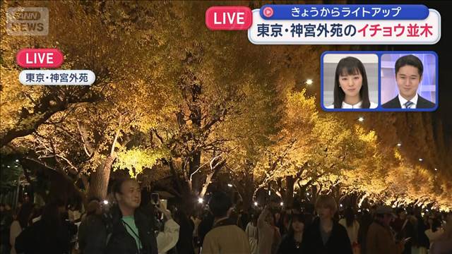 東京・神宮外苑のイチョウ並木　きょうからライトアップ