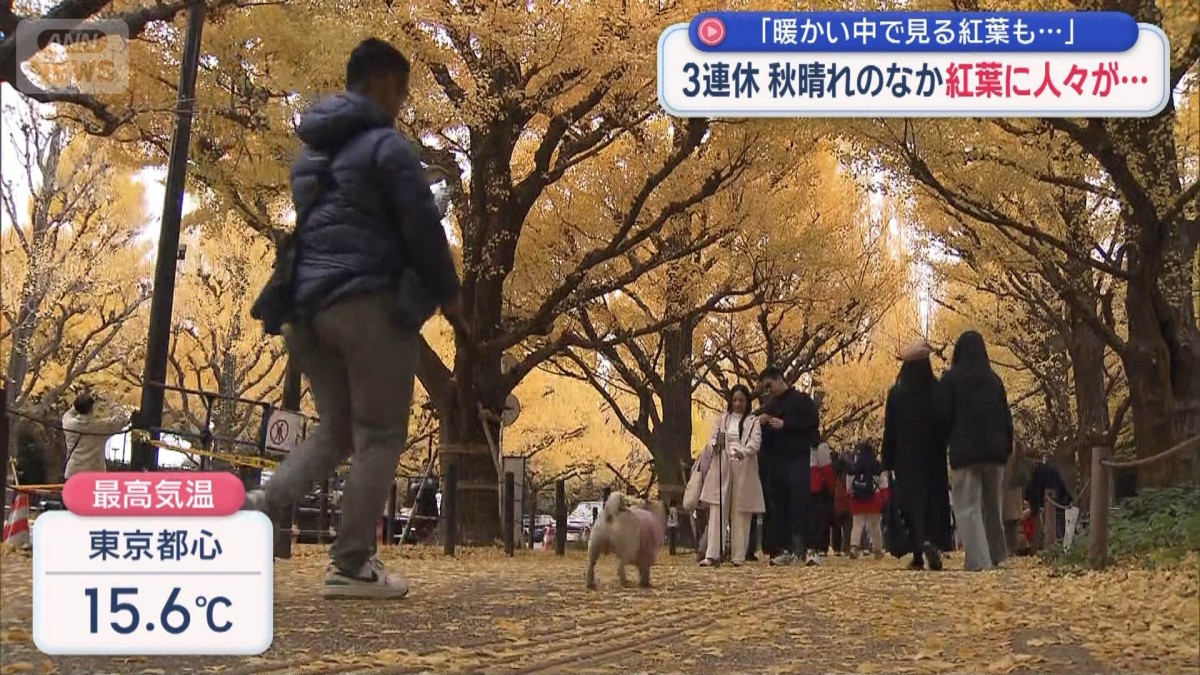 3連休　秋晴れのなか紅葉に人々が…　「暖かい中で見る紅葉も…」
