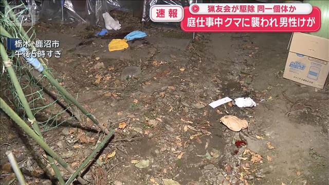 庭仕事中クマに襲われ男性けが　猟友会が駆除 同一個体か　栃木・鹿沼市
