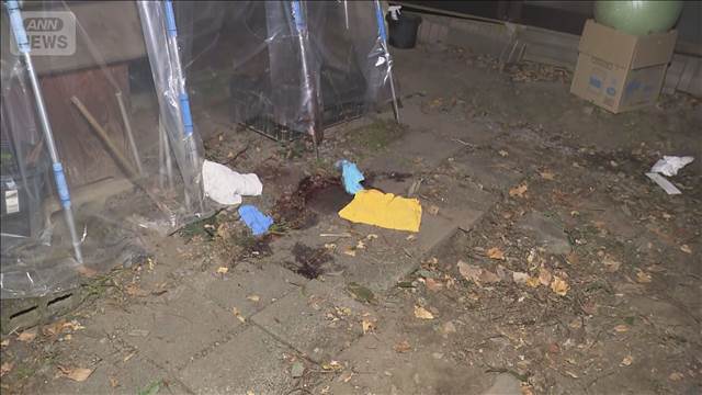 クマが庭で作業中の男性襲う　妻の大声に驚き逃げるも猟友会が駆除　栃木・鹿沼市