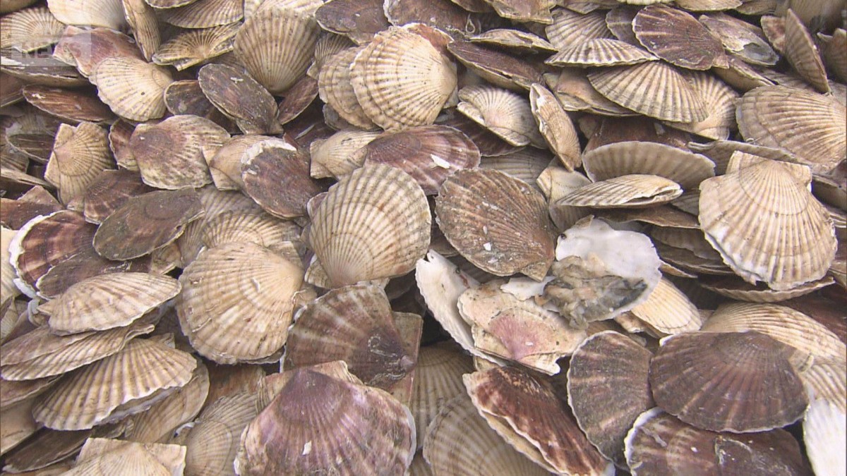 日本産水産物“輸入停止”172社に影響か 帝国データバンク調査