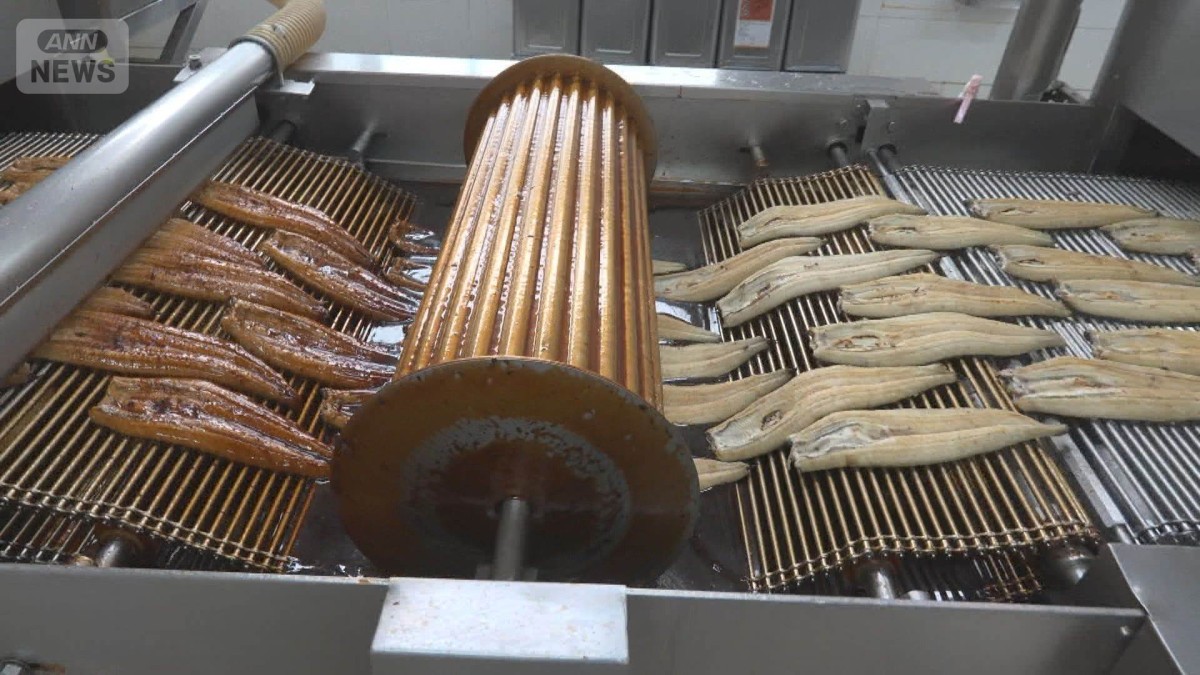 ウナギ規制の行方は　国際会議開幕　否決に向け日本は各国に働きかけ続ける