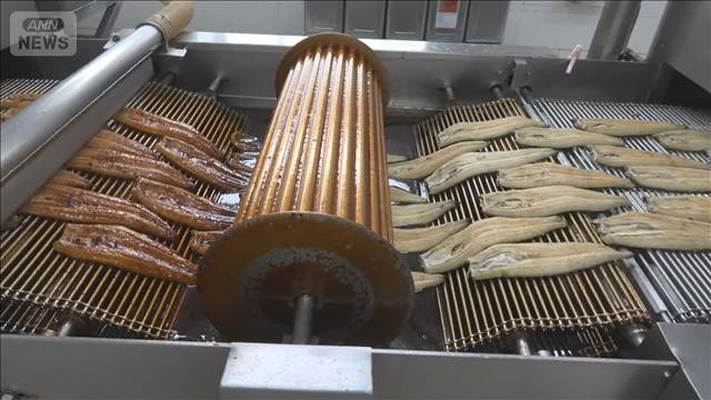 ウナギ規制の行方は　国際会議開幕　否決に向け日本は各国に働きかけ続ける