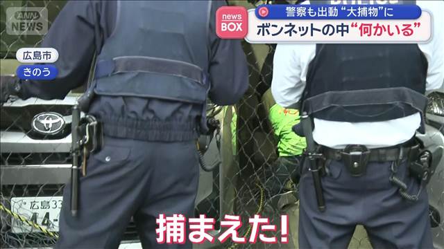 ボンネットの中“何かいる”　警察も出動“大捕物”に