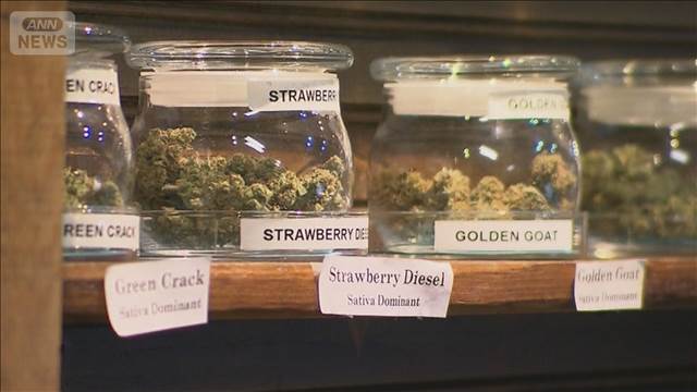 米国のアルコール消費減少　大麻製品にシフト　感謝祭の七面鳥に成分加える家庭も