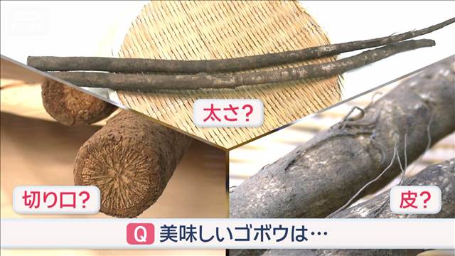 今が旬“美味しいゴボウ”の選び方　注目点は…切り口？皮？太さ？