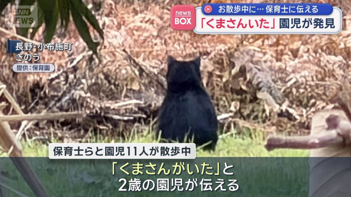 くまさんいた」園児が発見 お散歩中に…保育士に伝える 長野