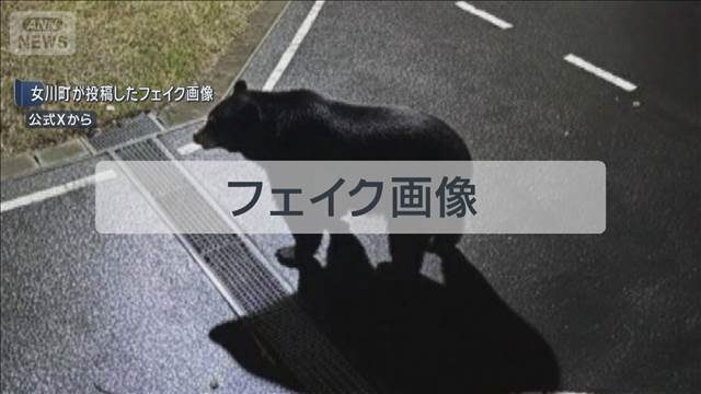 注意喚起のクマ画像　フェイクと判明し謝罪　公式Xに投稿　宮城・女川町