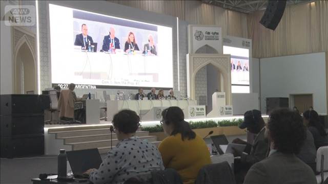 官房長官「多くの国が理解」と評価　ウナギの取引規制強化案が否決　締約国会議で