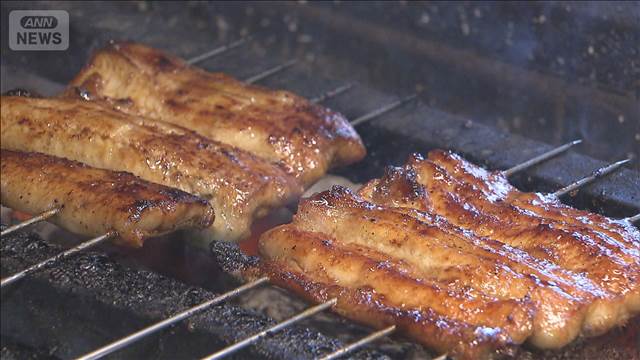 ウナギ国際取引の規制案を否決　日本の主張を支持する国も