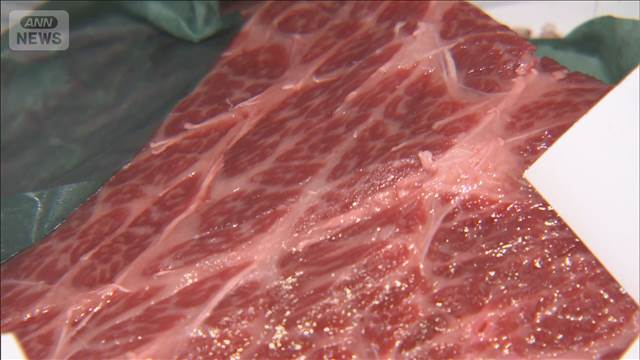 「鯨の王様」ナガスクジラ　1kg15万円超で落札　札幌