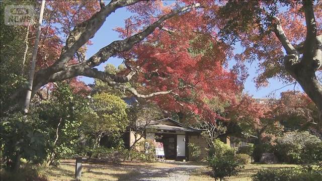 明治の偉人も愛した庭園・皆春荘の紅葉が見ごろ　神奈川・小田原市