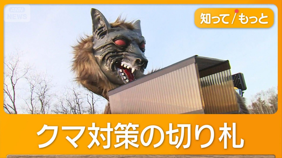 「消え去れ消え去れ」　クマ対策“オオカミ型ロボット”が進化　スピーカーを改良