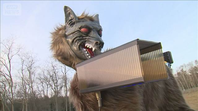 「消え去れ消え去れ」　クマ対策“オオカミ型ロボット”が進化　スピーカーを改良