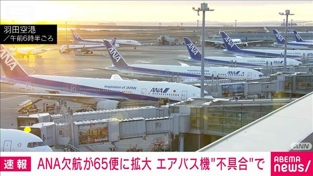 全日空欠航65便に　エアバス社機体のシステム更新で