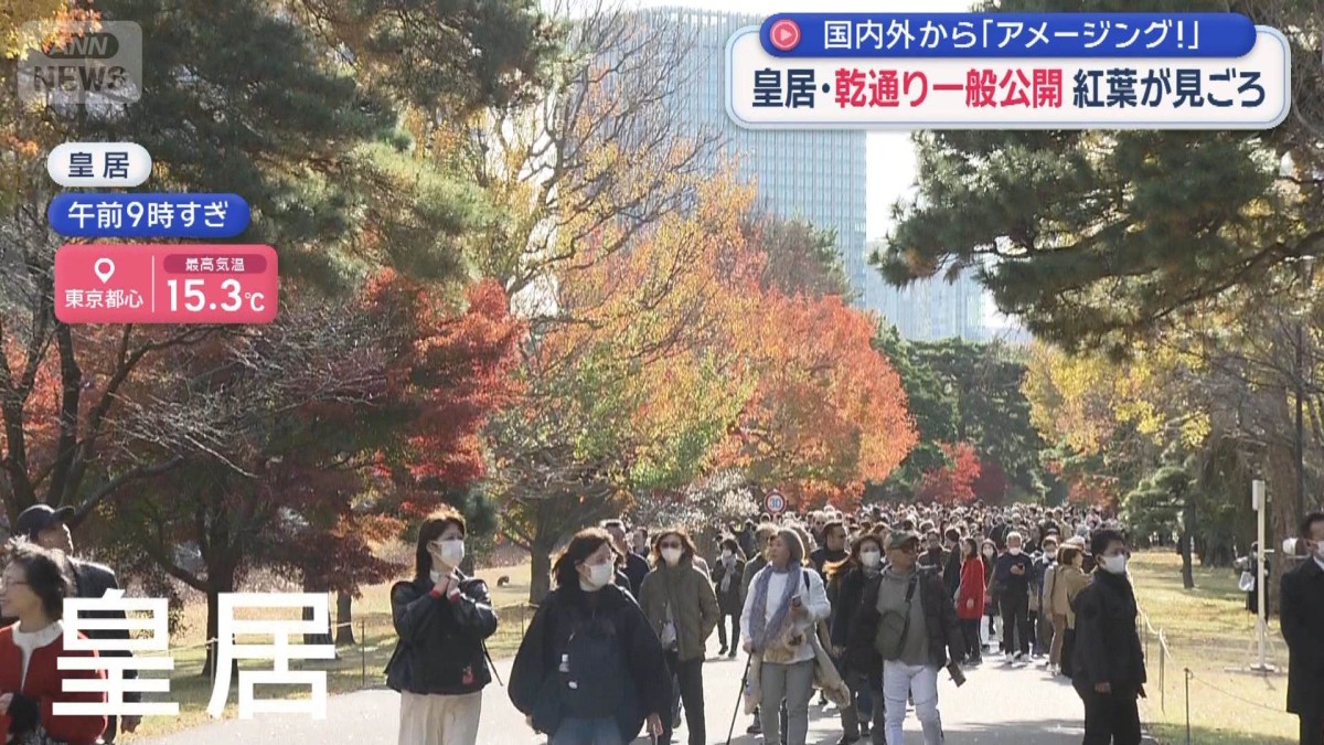 国内外から「アメージング！」　皇居の乾通り一般公開　紅葉に彩られ