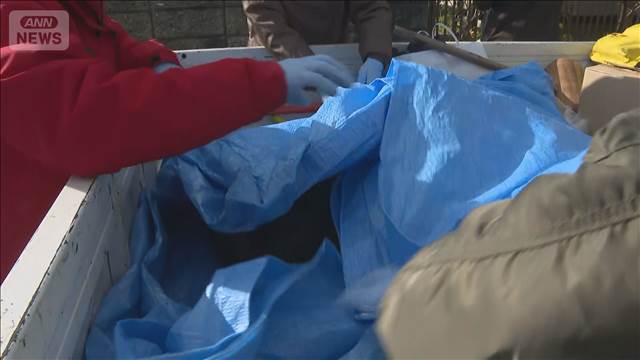 イノシシが住宅街に　目撃相次ぎ3人けが 1頭を駆除　新潟市